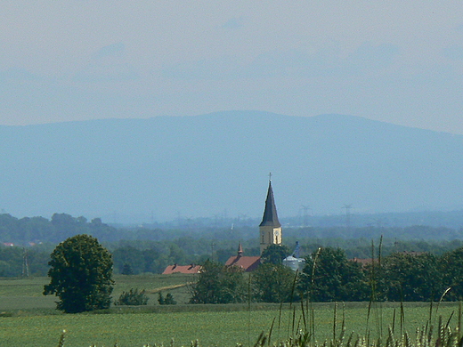 Koci w Krzyanowicach