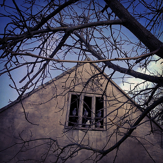 Opuszczony dom w Mmierzu