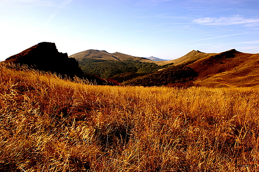 Tarnica - widok z Rozsypaca