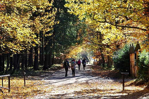 Padziernik w Kocielisku