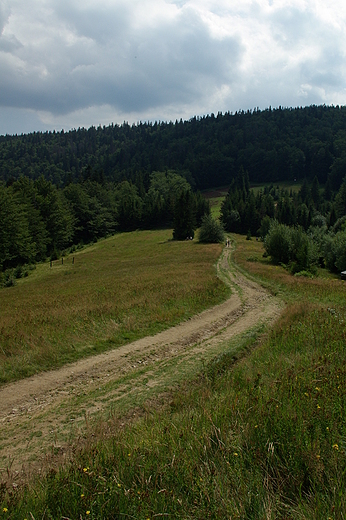 Na Obidowiec!