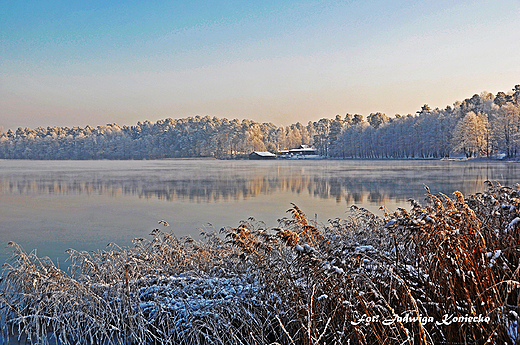 Zimowy, biay  pejza nad jeziorem Biaym w Augustowie