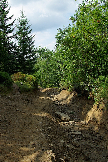 Szlak na Turbacz