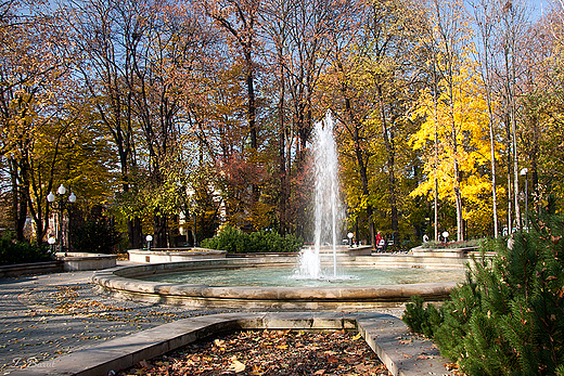 jasielski park