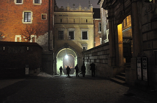 Wawel noc