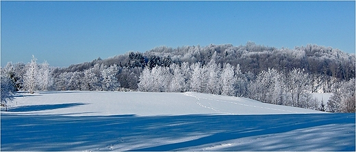 W gbiLeszczynowa Gra nad jeziorem Hacza.