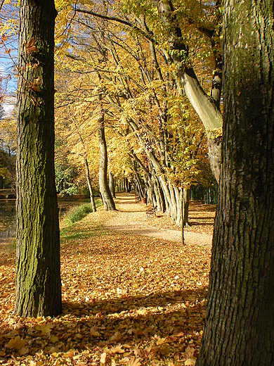 Park jesieni