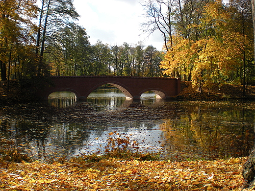 Park jesieni