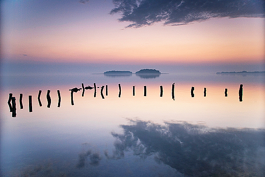 Mazury - wit