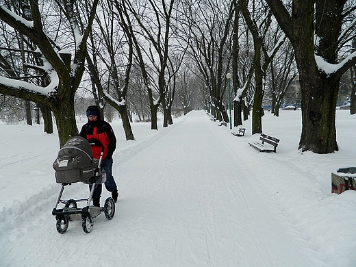 Warszawa. Zimowy Park Szczliwicki.