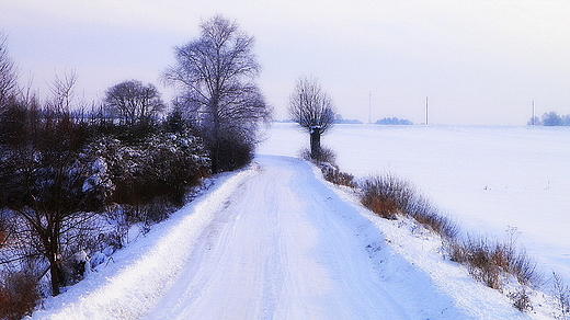 Polne drogi na Podlasiu zim.