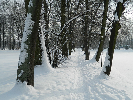 Pruszkw. Park Potulickich.