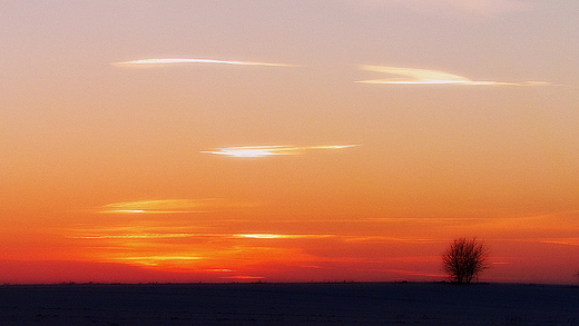 Przed zmierzchem na Podlasiu...czyby leciay abdzie ?