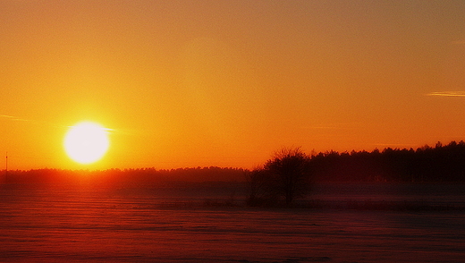 Zmierzch ju blisko , zapowiada si mrona noc na Podlasiu.