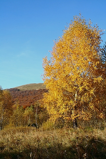 Wspomnienie jesieni