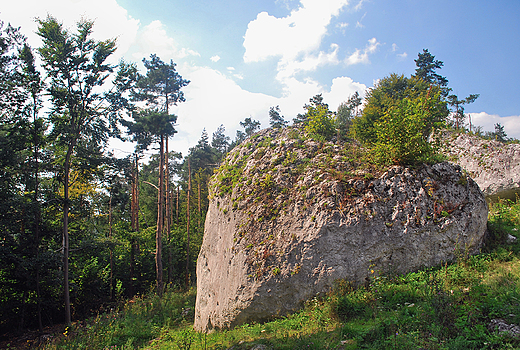 Rezerwat Gra Zborw.