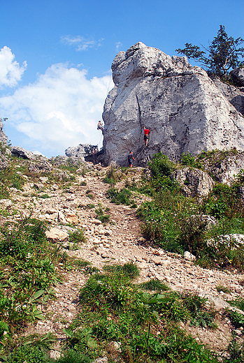 Rezerwat Gra Zborw.