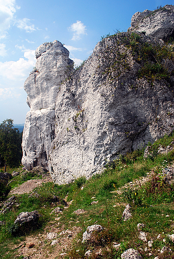 Rezerwat Gra Zborw.