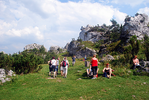 Rezerwat Gra Zborw.