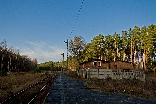 Leosia - peron