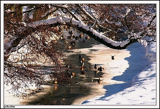 Gouchw - park okalajcy zamek