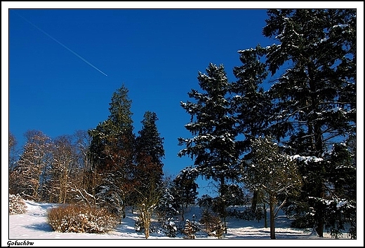 Gouchw - zanieony park okalajcy zamek