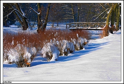 Gouchw - zanieony park okalajcy zamek