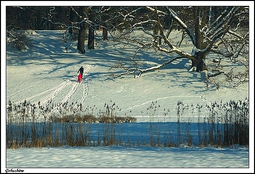 Gouchw - zanieony park okalajcy zamek