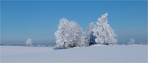 Suwalszczyzna w bieli i bkicie.