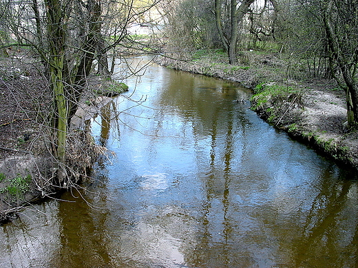 W pradolinie Bobrzy pod Biaogonem