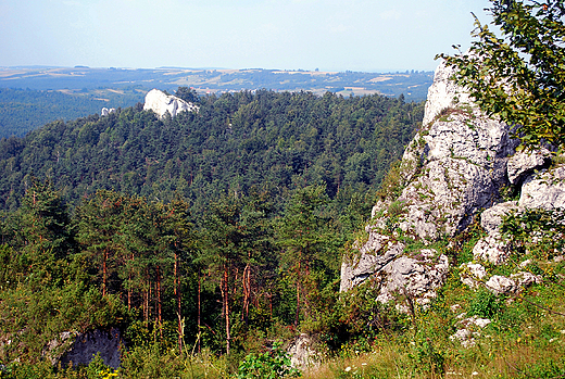 Rezerwat Gra Zborw.