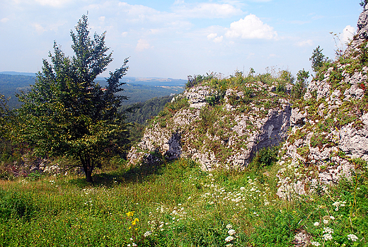 Rezerwat Gra Zborw.