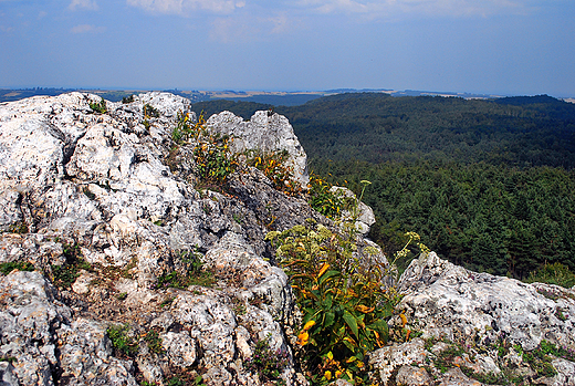 Rezerwat Gra Zborw. Widok z punktu szczytowego na Jur.