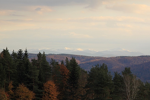 Panorama ze szczytu gry Gruszka 583 m