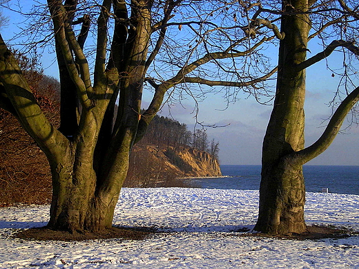 4 PORY ROKU - ZIMA.  GDYNIA OROWO.