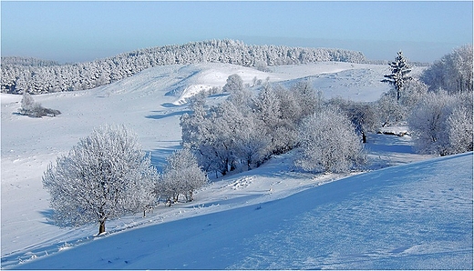 Zimowy krajobraz Suwalszczyzny.
