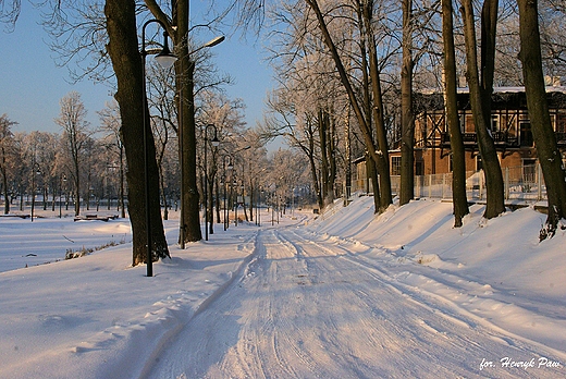 Z cyklu zimowa Trzebnica