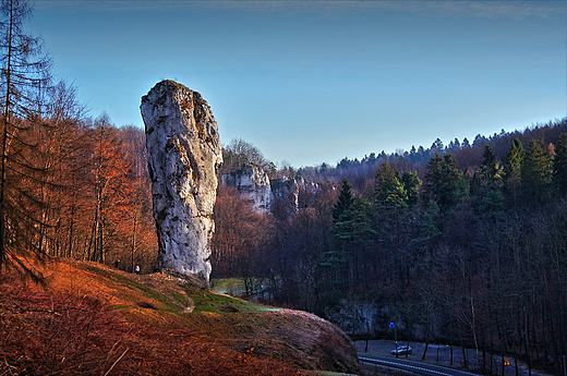 maczuga herkulesa