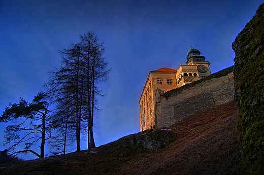 Zamek w Pieskowej skale