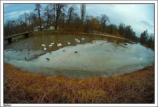 Kalisz - park widziany od strony teatru... FishEye 8mm