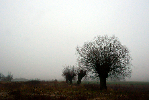 Jesienne widoki w Zakrzewie. Mazowsze