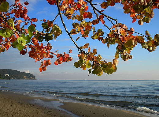 Jesie nad Zatok.