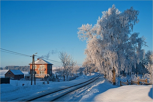 Jeleniewo - przy drodze do Szurpi.