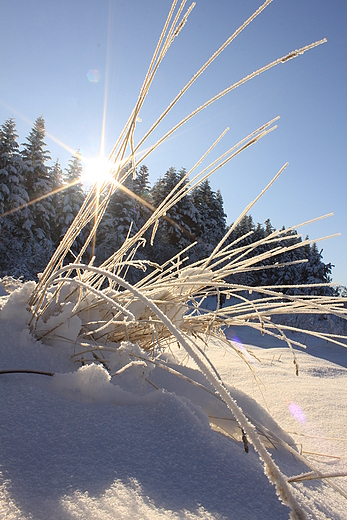 Piekielne Sonce