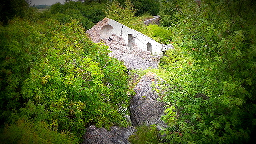 Ruiny II fortu Twierdzy Osowiec skrztnie ukrywane przez bujn , letni ziele...