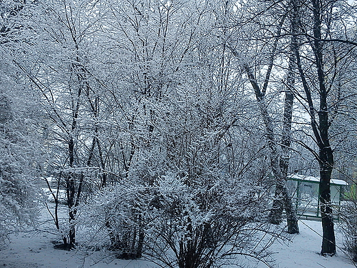 I znowu posypao na wiecie.W Kielcach te...