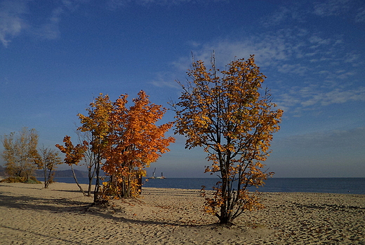 Sopot - jesie na play.