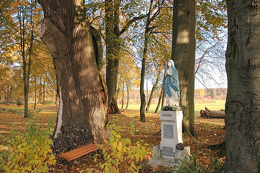 Na rozstajach. Kurozwki