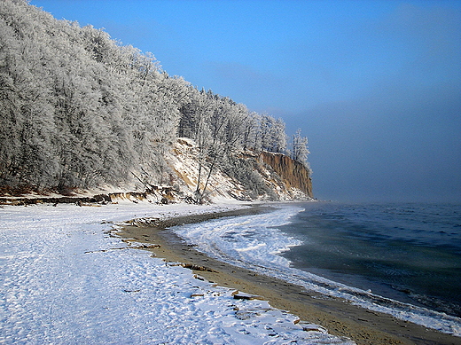 Gdynia Orowo - klif