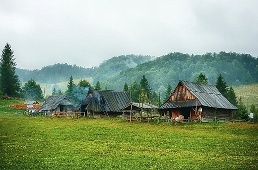 Bacwka w Jaworkach. Mae Pieniny